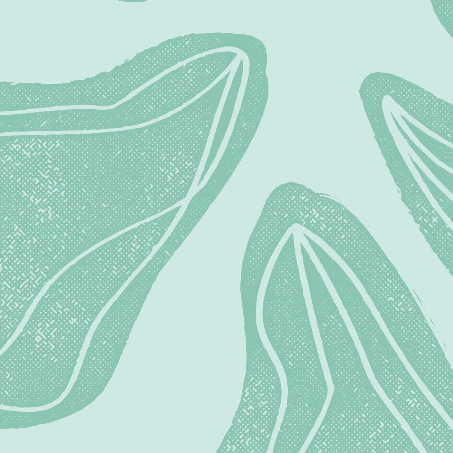 Clams Tropical