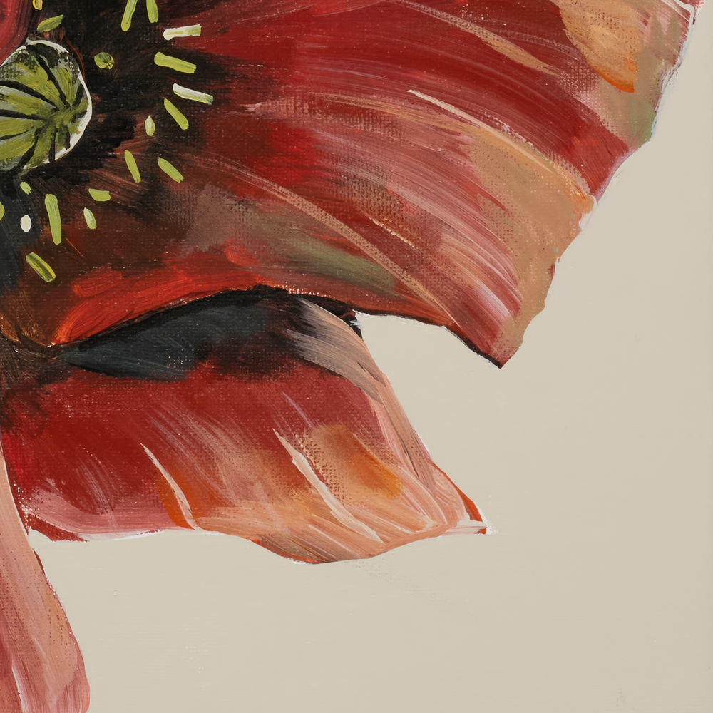 Poppies