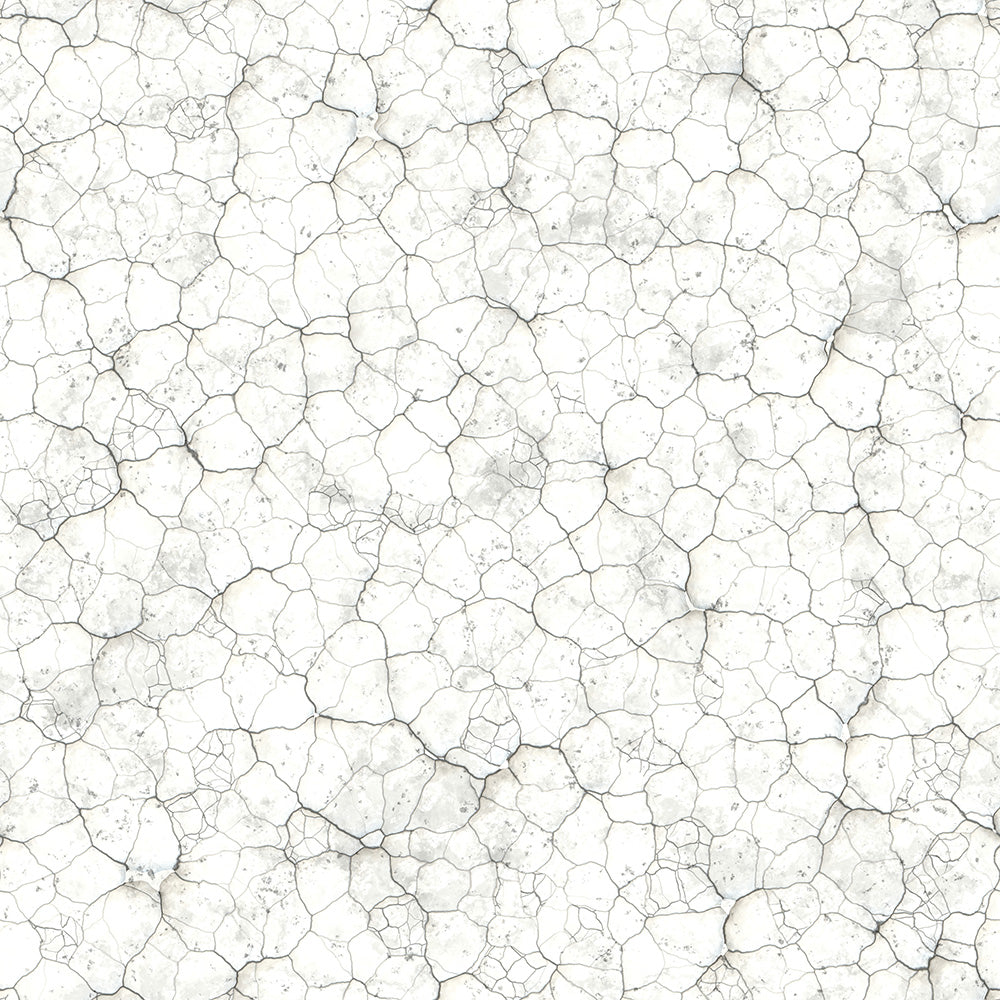 Eggshell Stone Wallpaper
