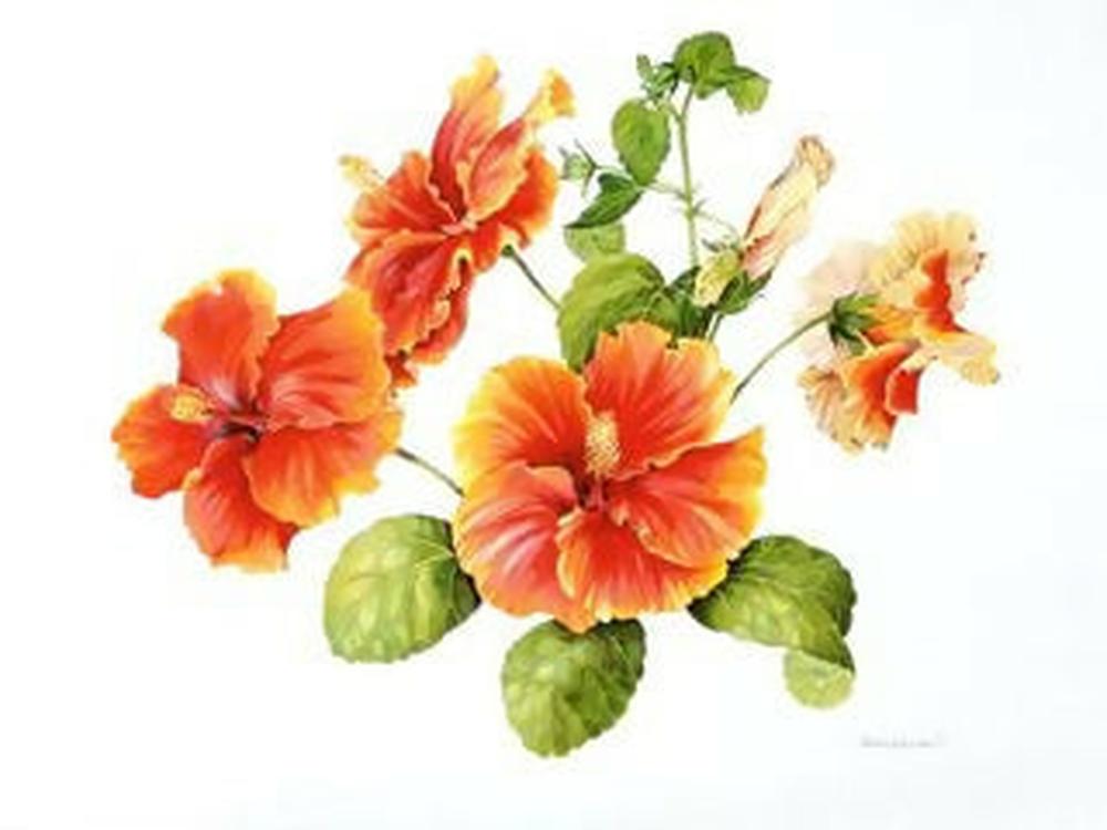 Eye Do Hibiscus-by-Carol Forbes Croad-original art-Gioia