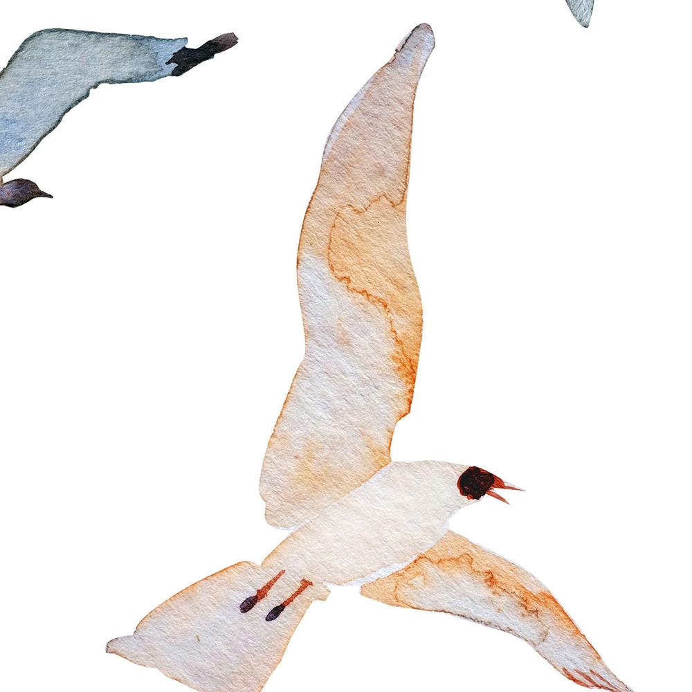 Flying Coastal Birds-wallpaper-eco-friendly-easy-removal-Gioia Wall Art-3