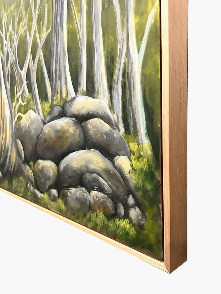 Snow Gums