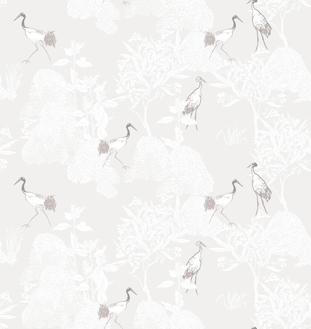 Ibis Style C, Wallpaper
