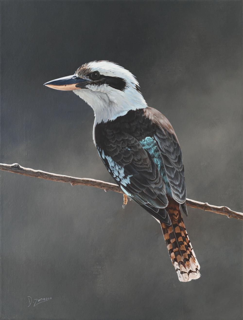 Illuminated - Laughing Kookaburra-by-Dario Zanesco Original Art-original art-Gioia