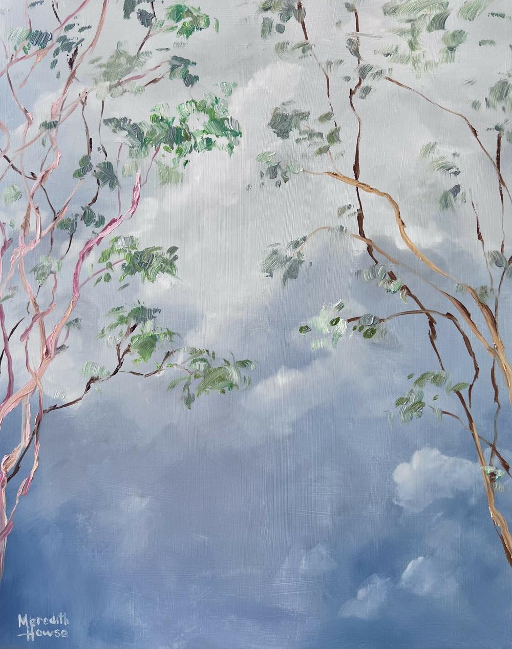 Illumination Gum Tree Clouds , Original Artwork-by-Meredith Howse-original art-Gioia