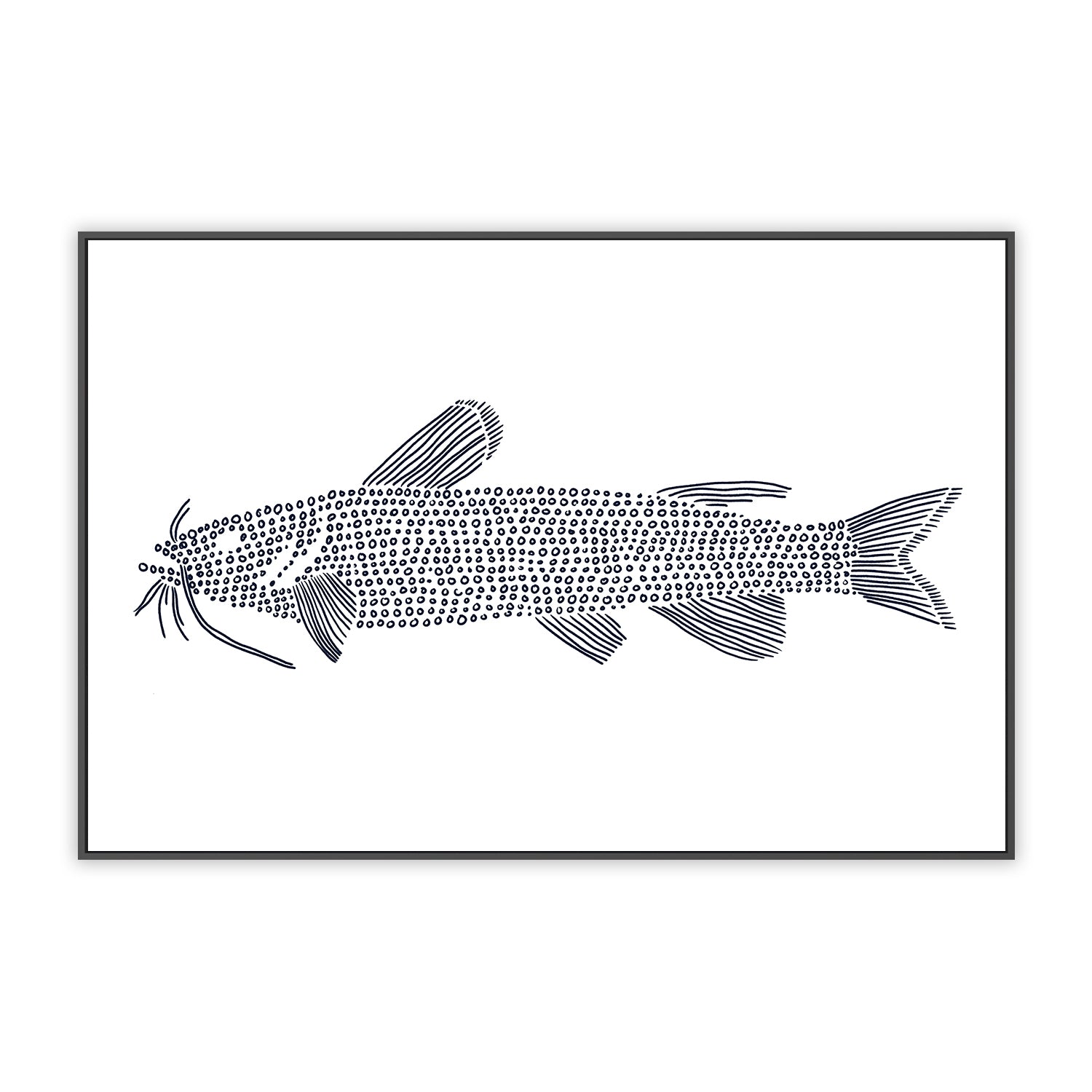 Cat Fish