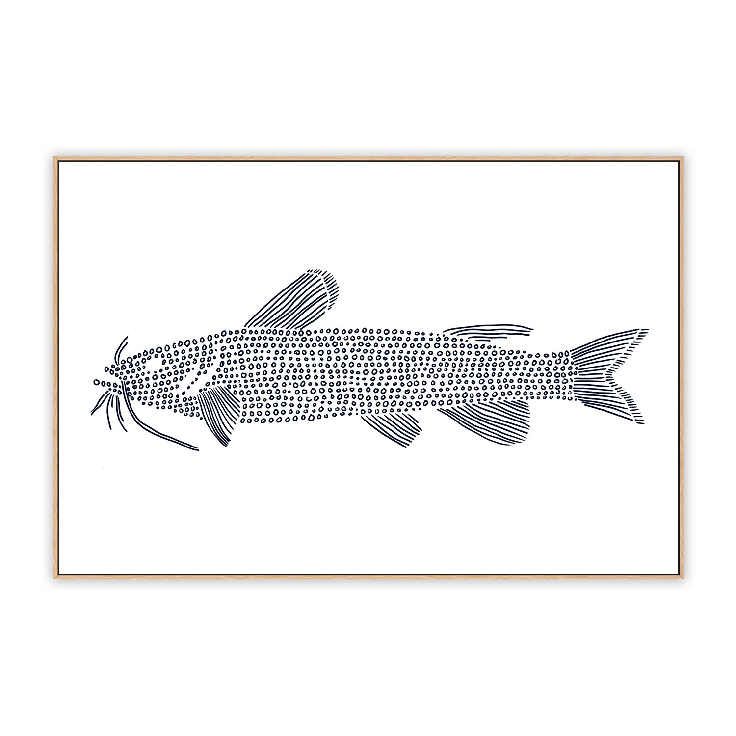 Cat Fish