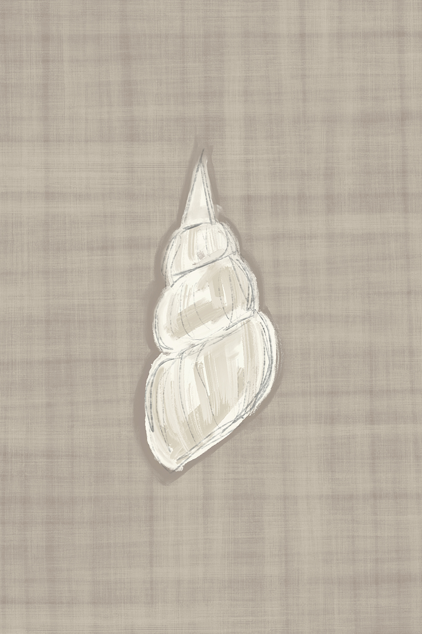 Seashell