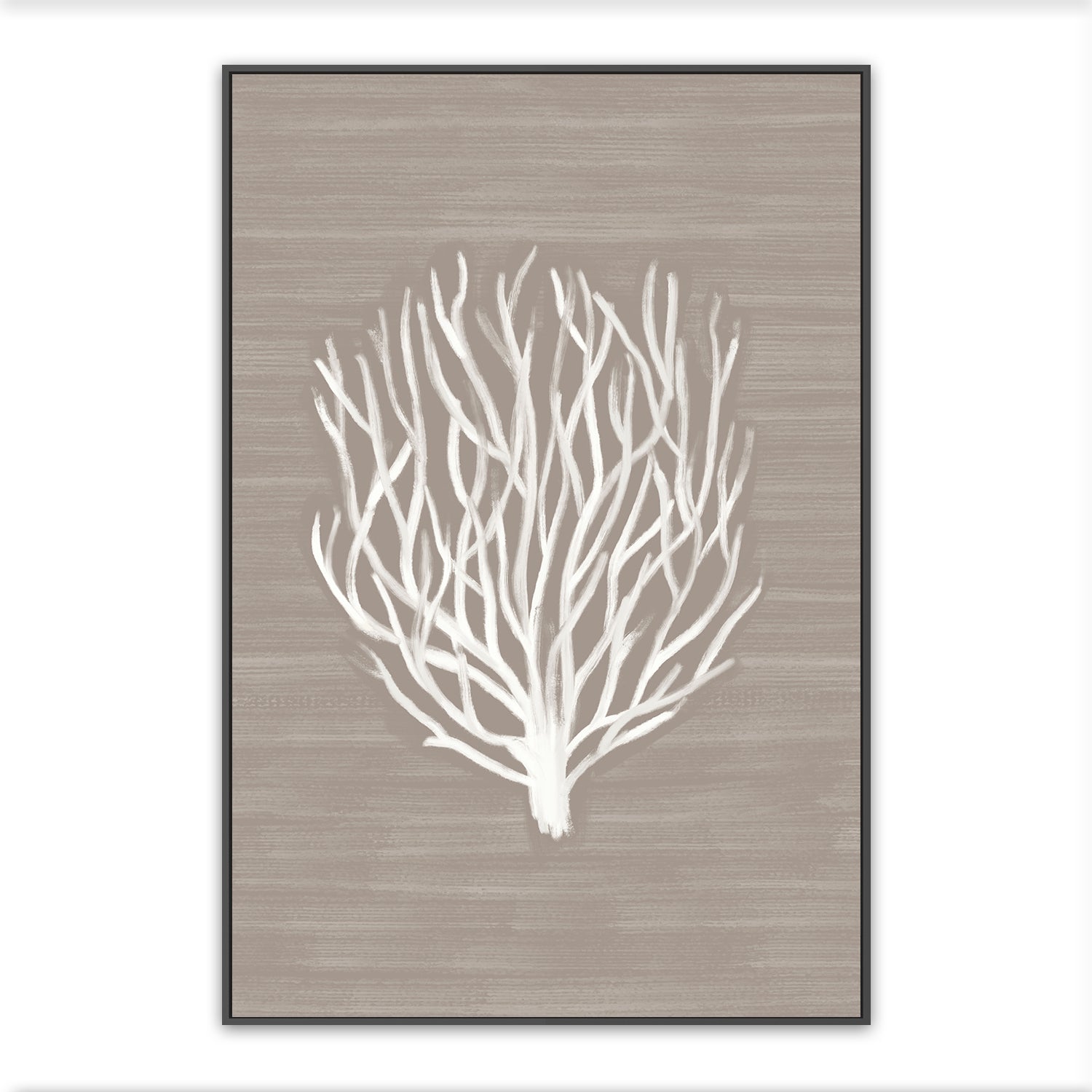 Coral Branch