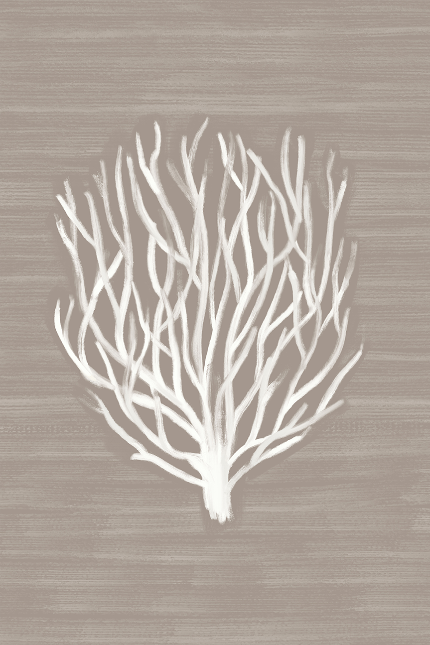 Coral Branch