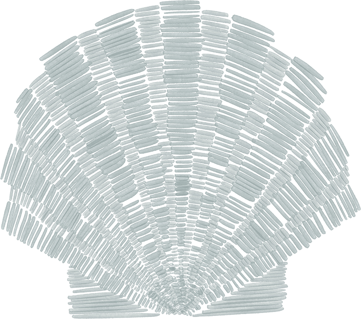 Deconstructed Scallop Shell
