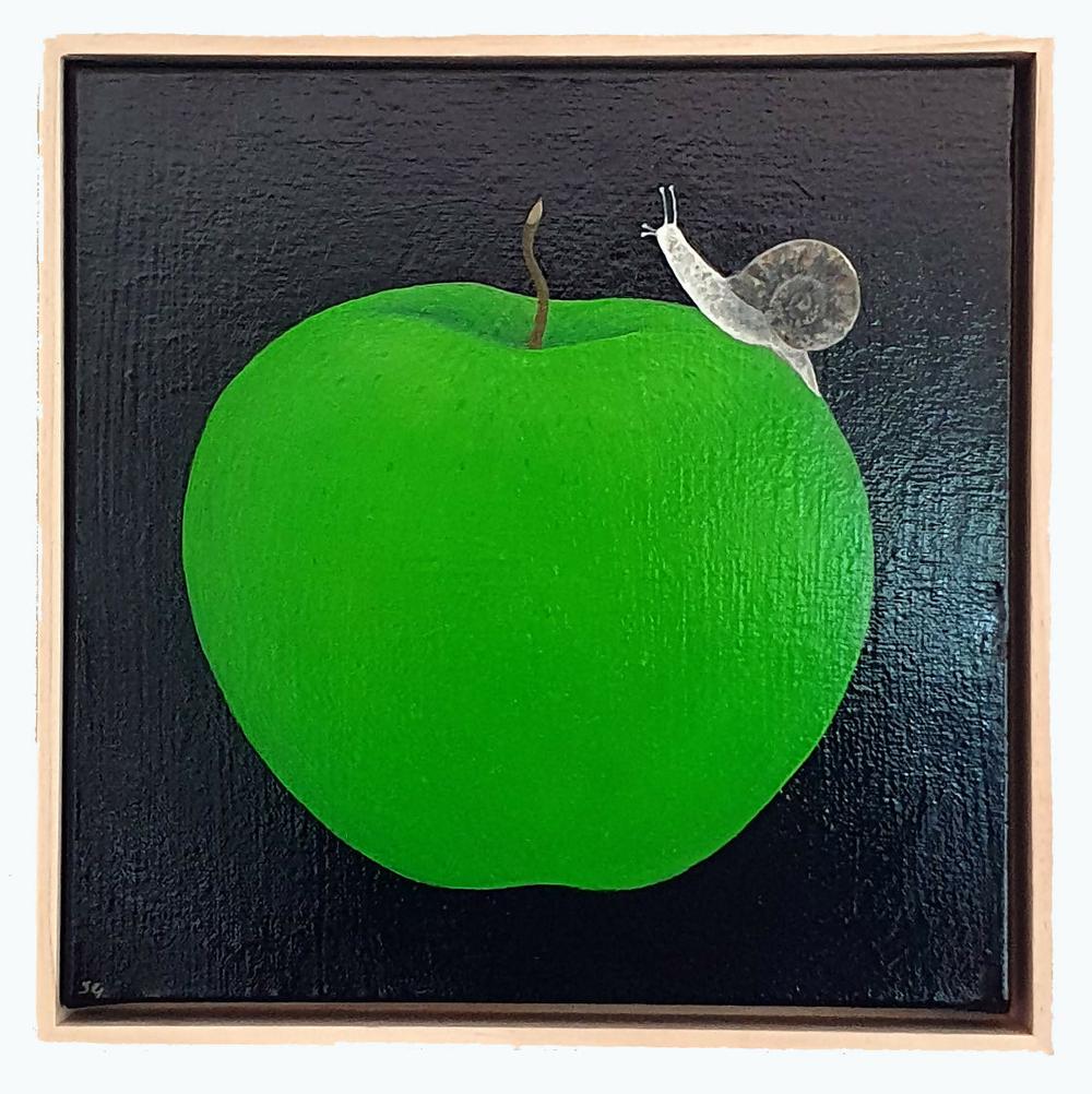 Of Apple & Snail