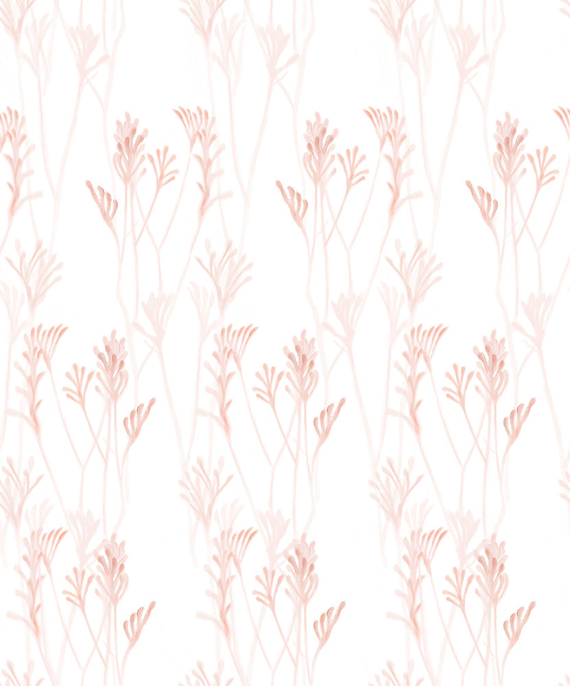 Kangeroo Paw, Style B, Wallpaper
