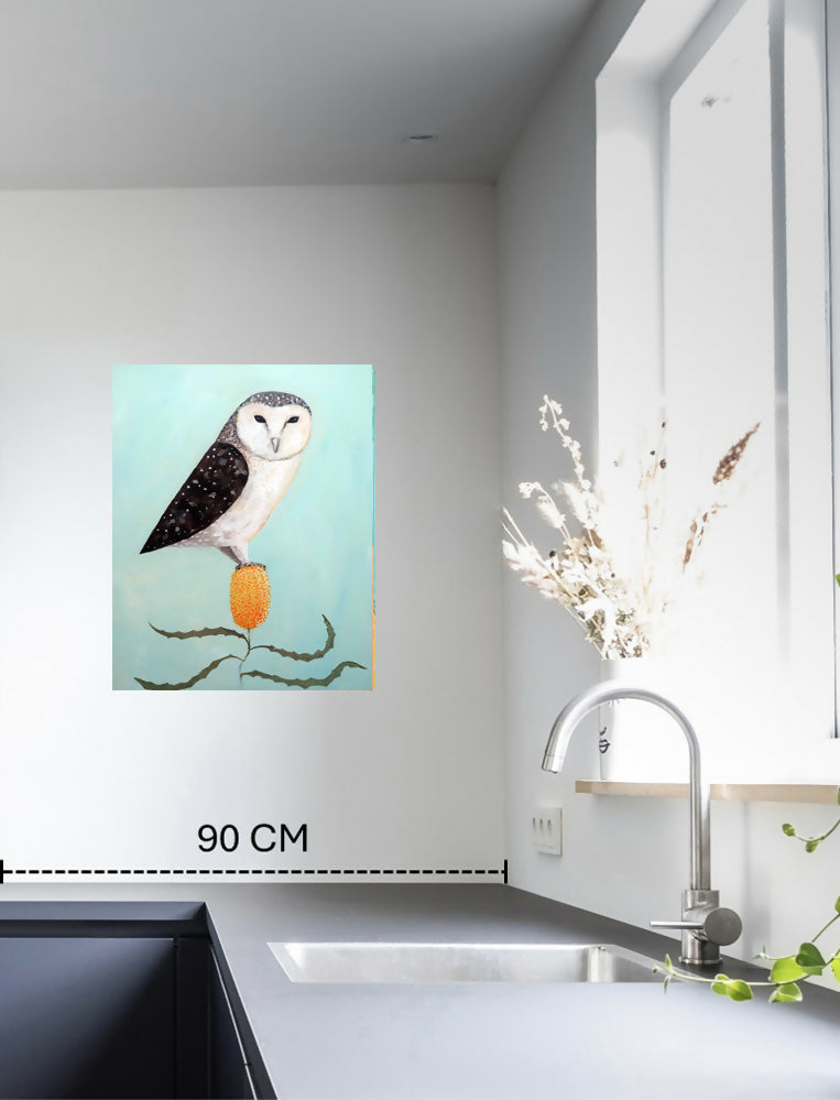 The Owl and the Banksia