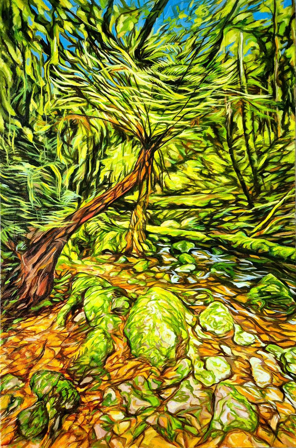Treefern at New England