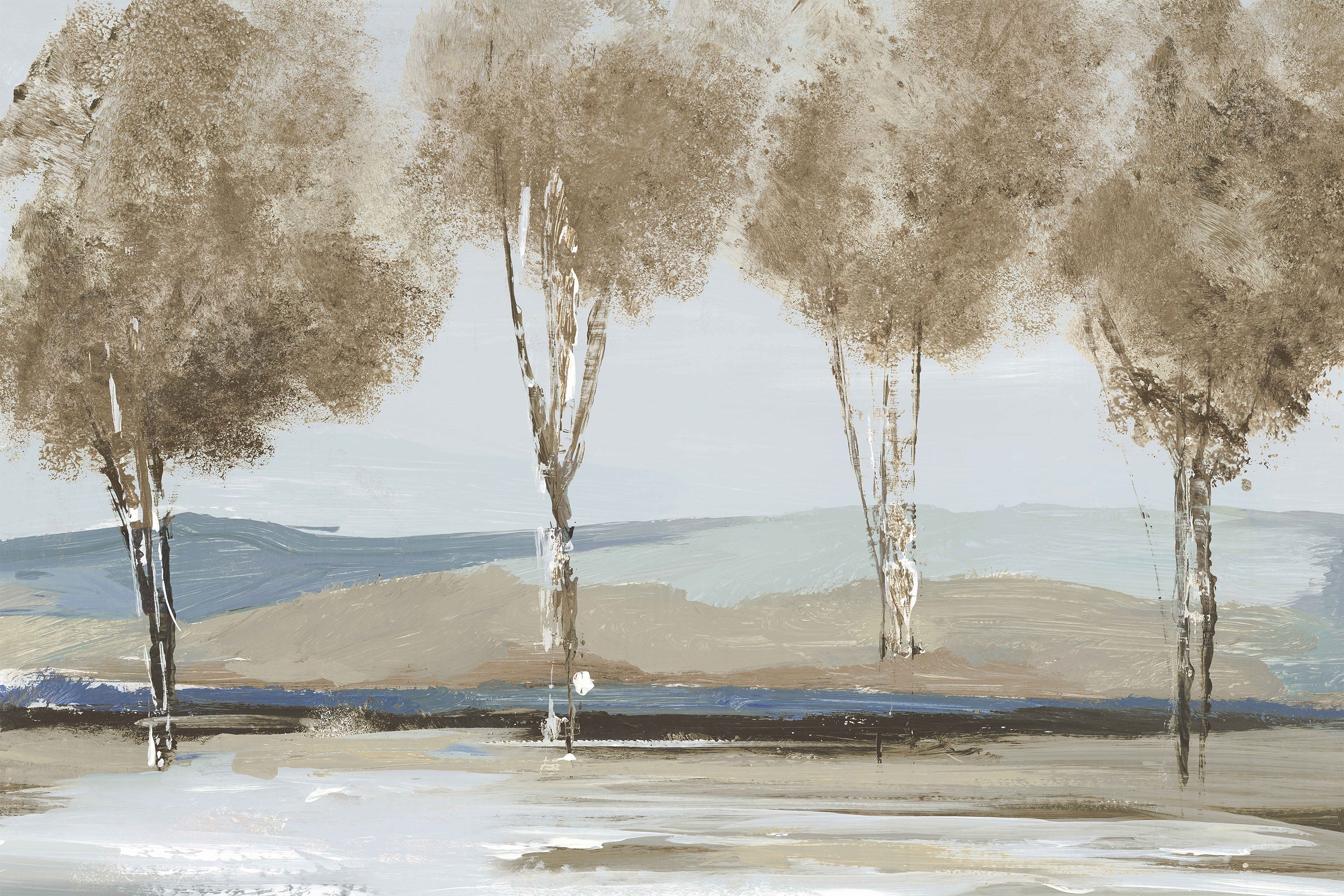 Golden Birch Tree Forest
