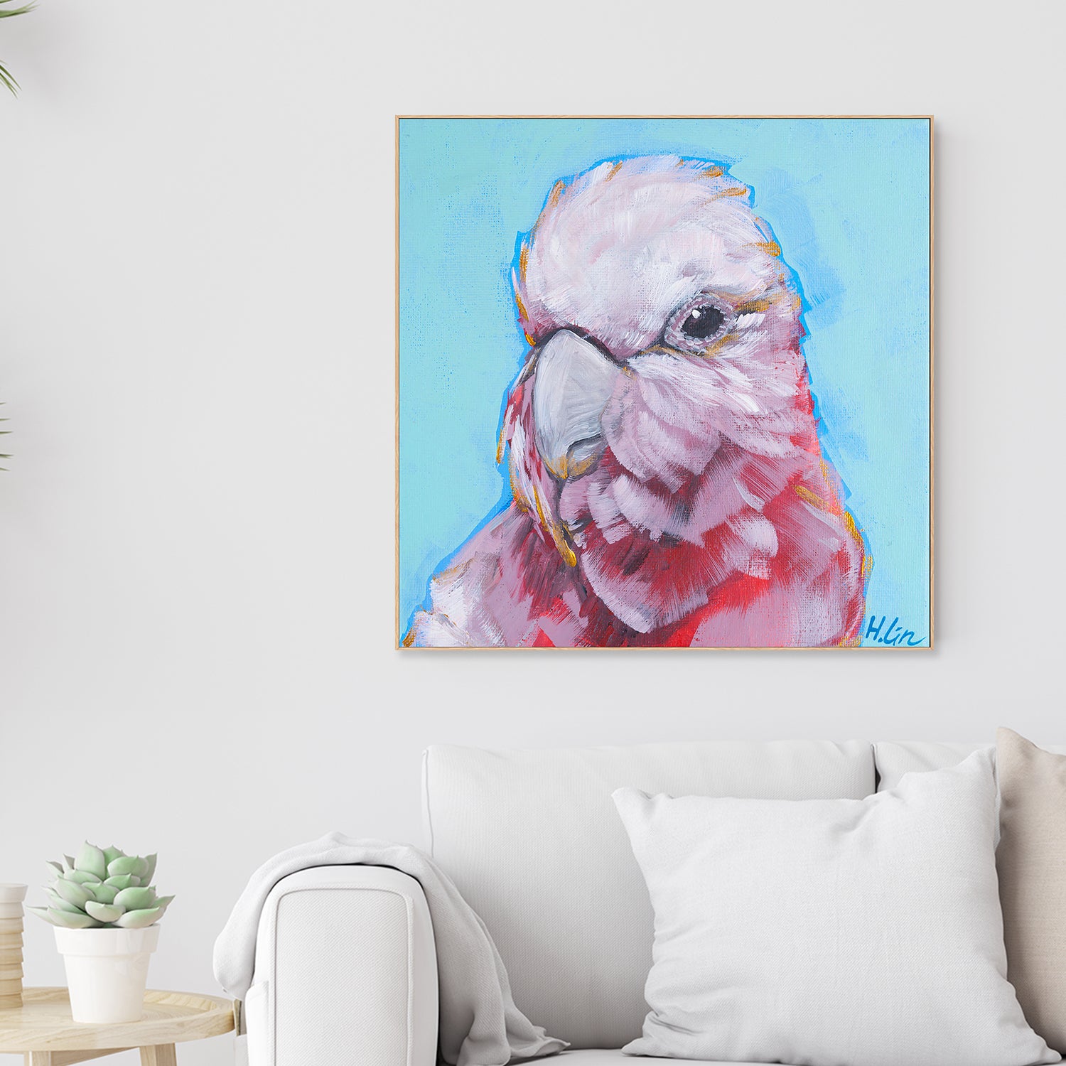 Pink Galah