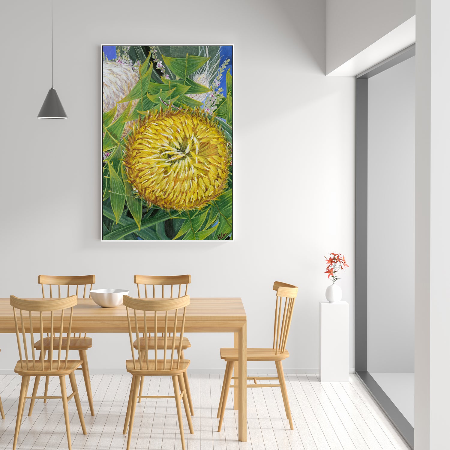 Banksia baxteri