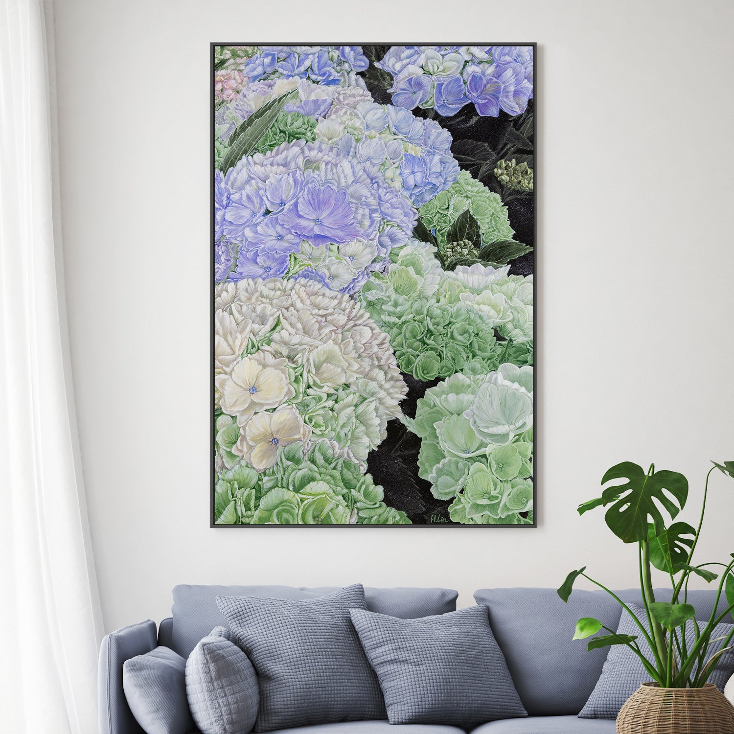 Premium Hydrangea