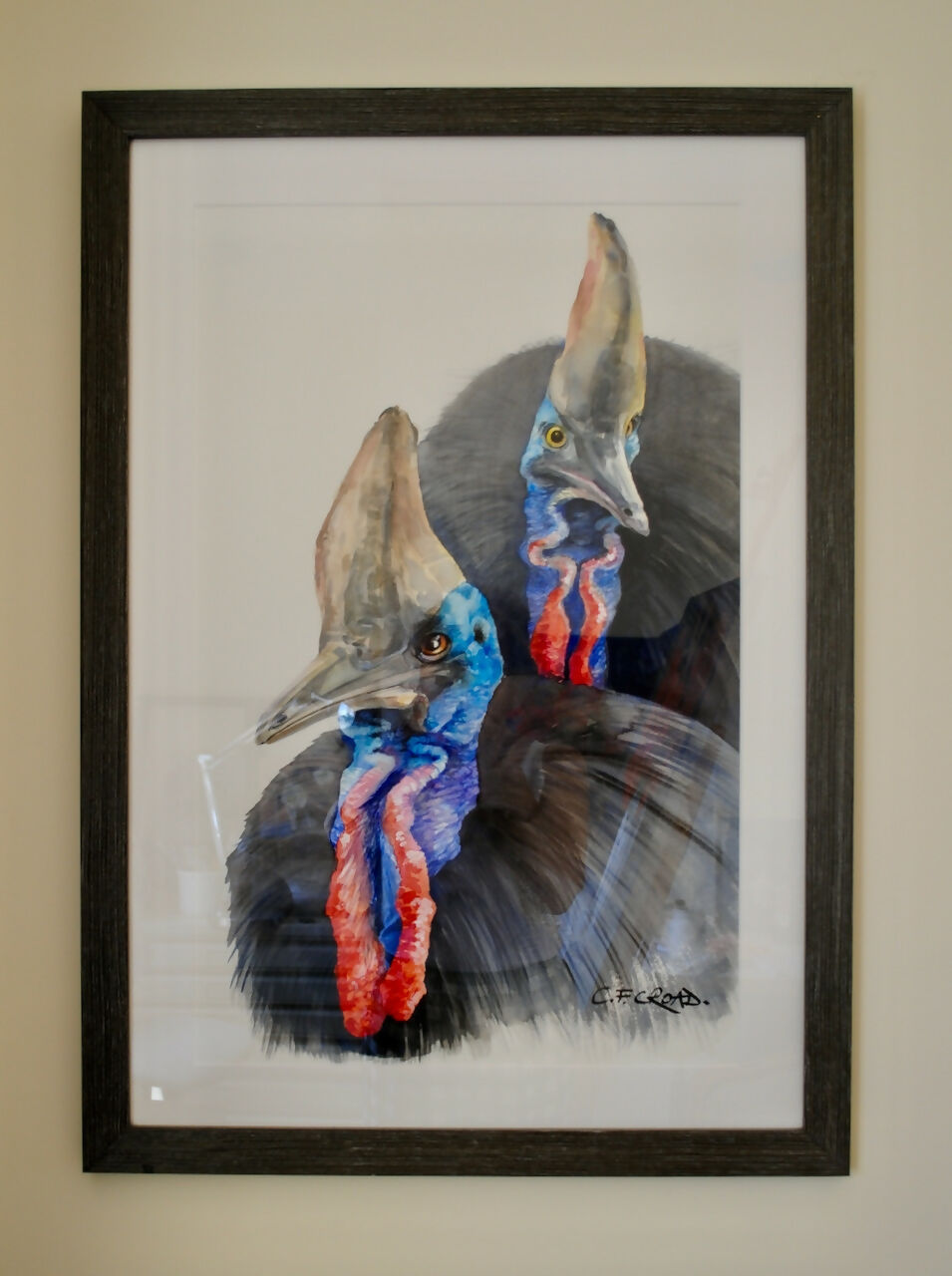 Cassowaries Beware , Original Artwork