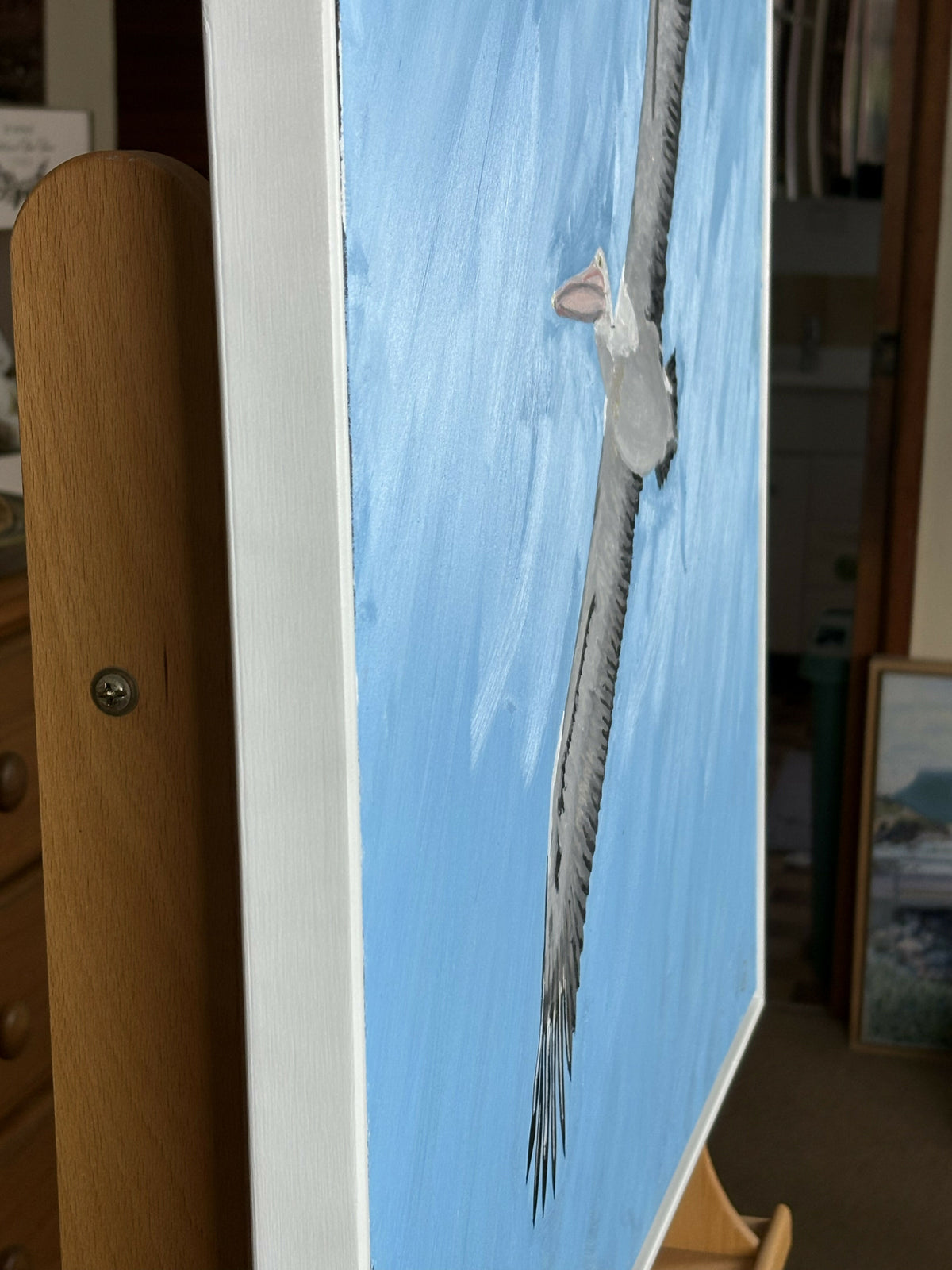 Pelican in Flight