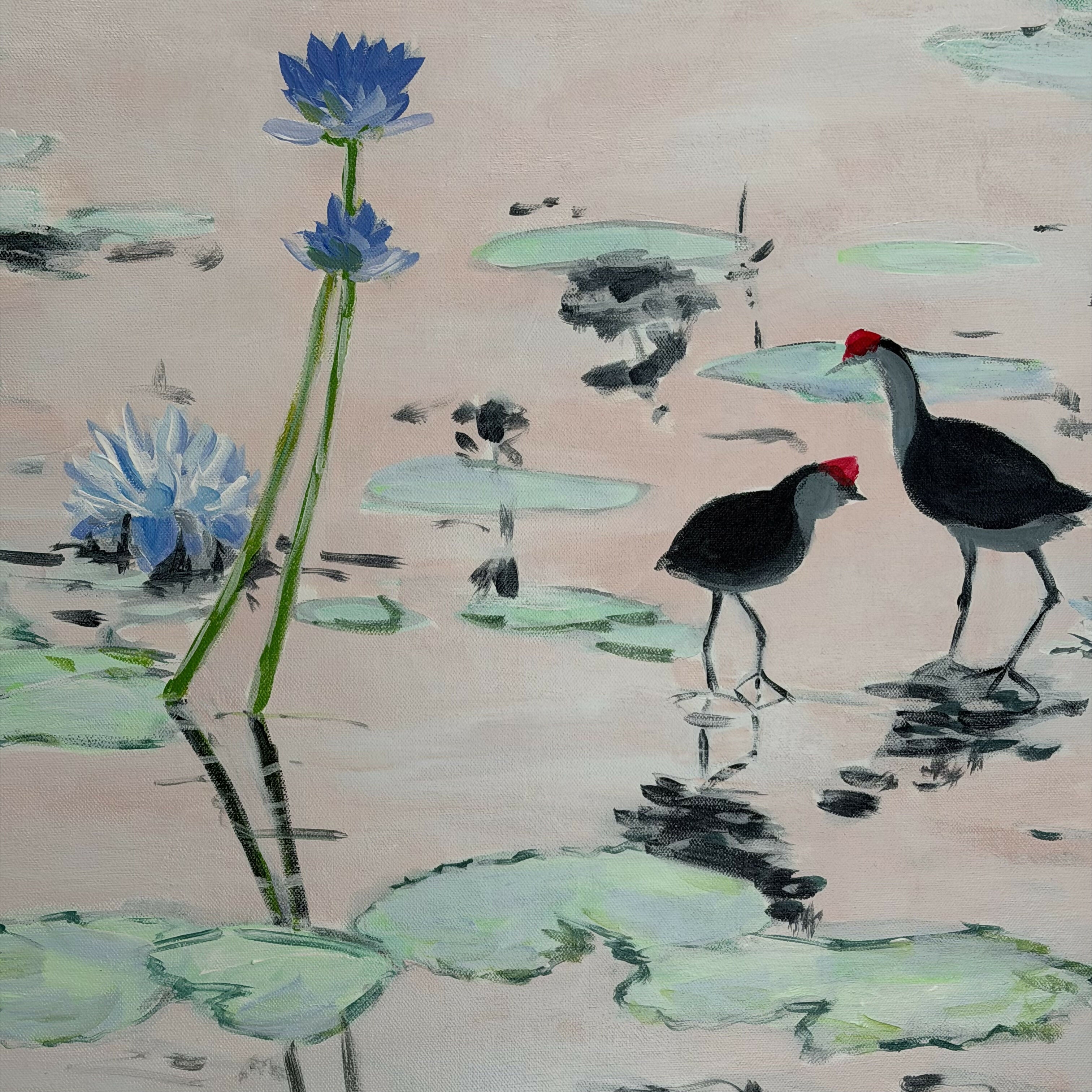 Kakadu Jacana