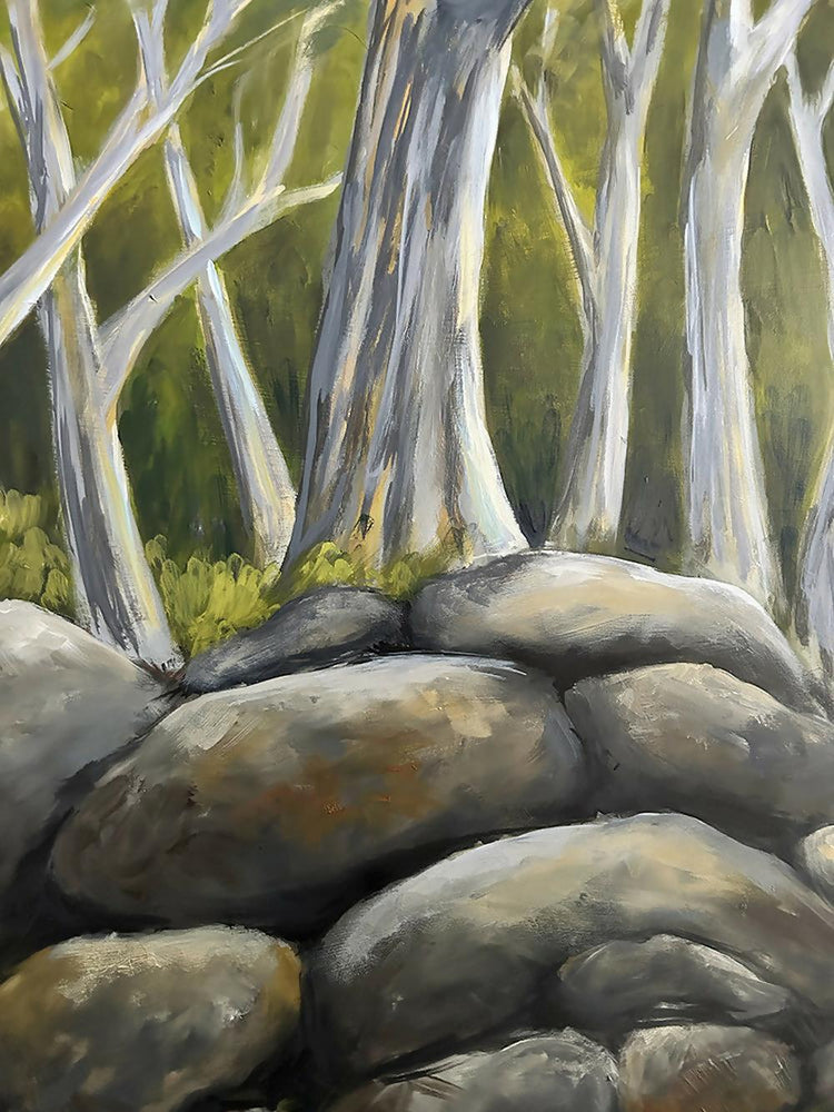 Snow Gums