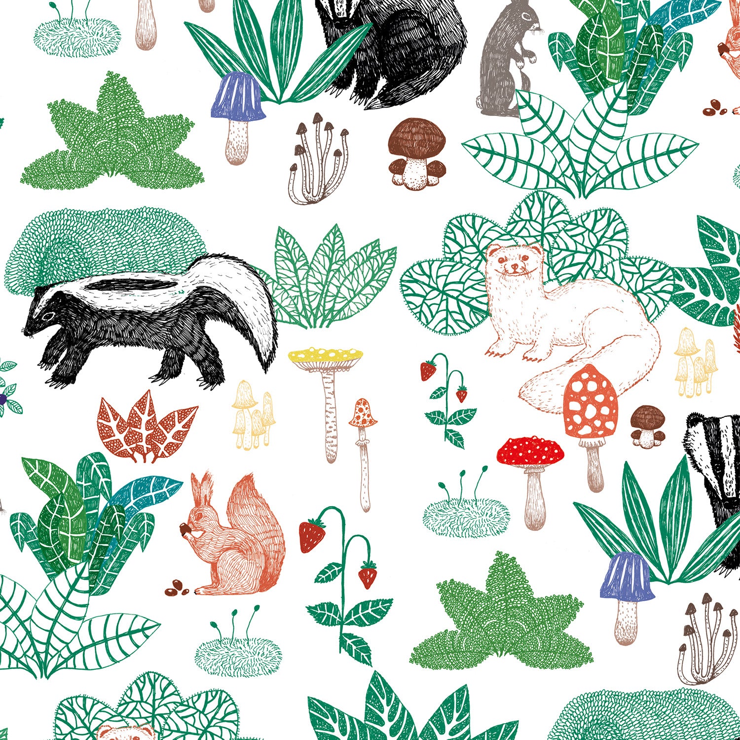 Meadow