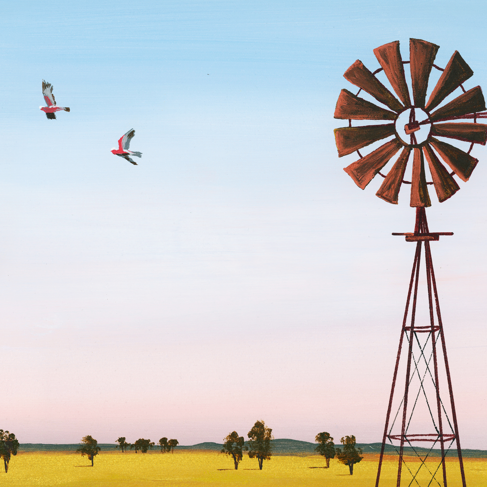 Galahs on Dusk