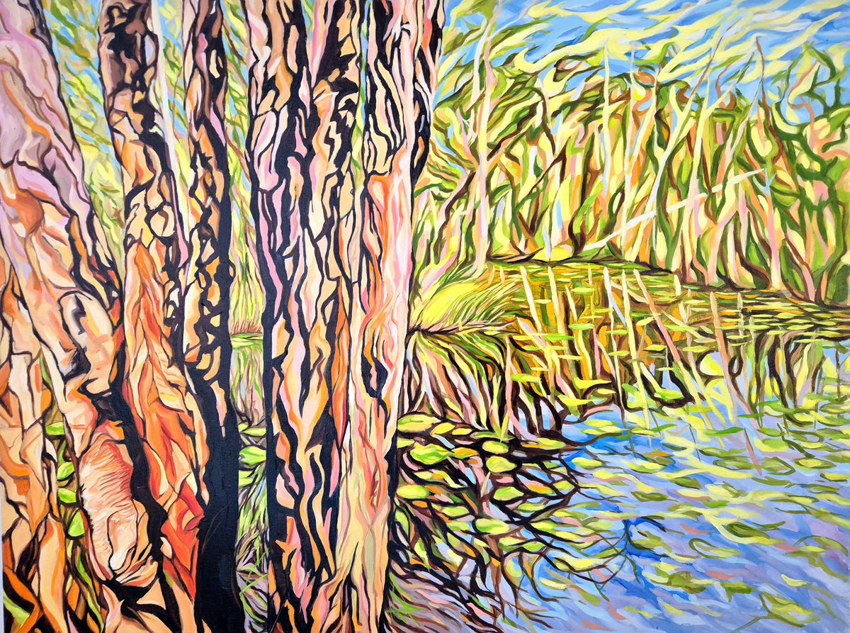 Paperbarks at Urunga Wetlands