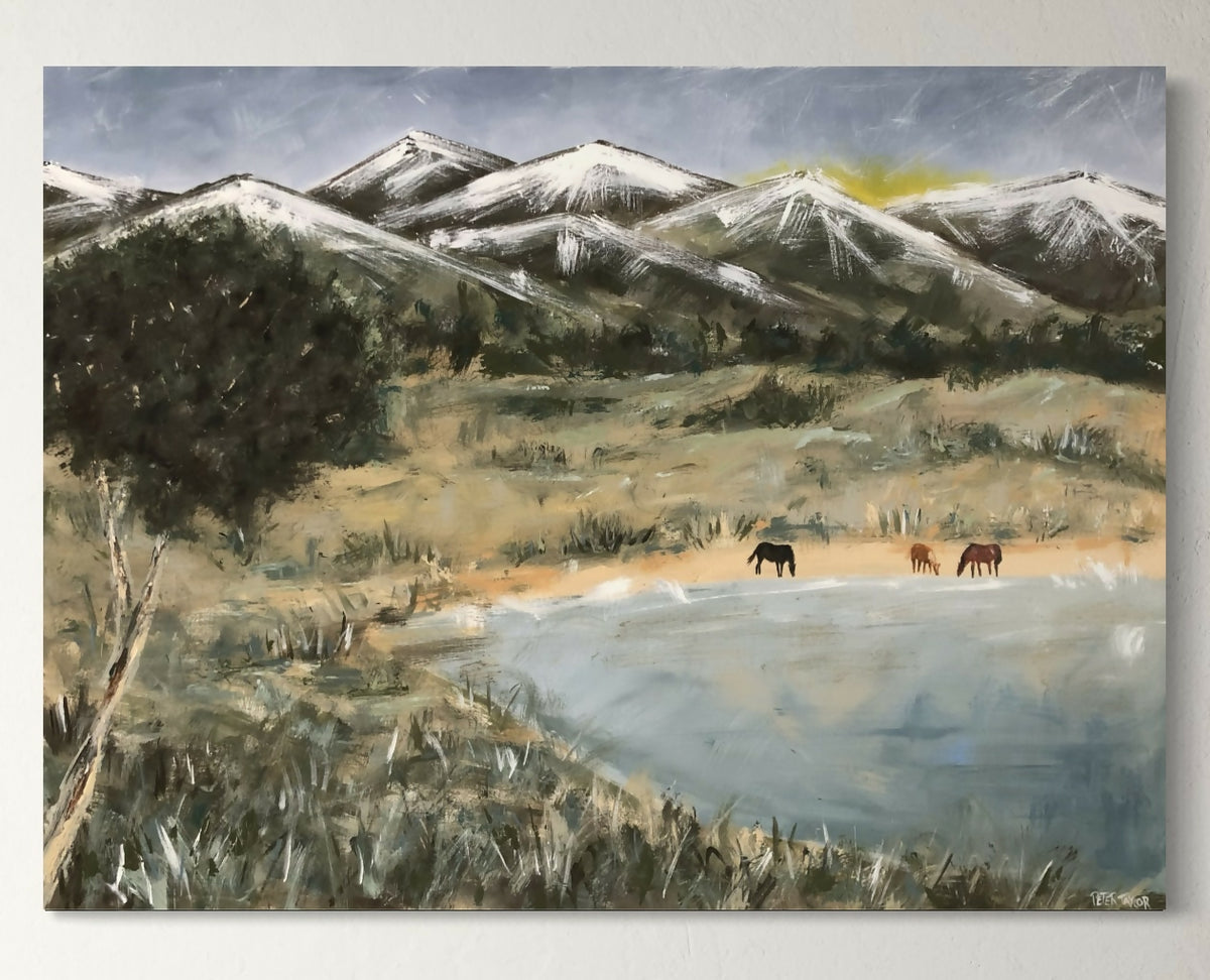 Brumbies Drinking Lakeside