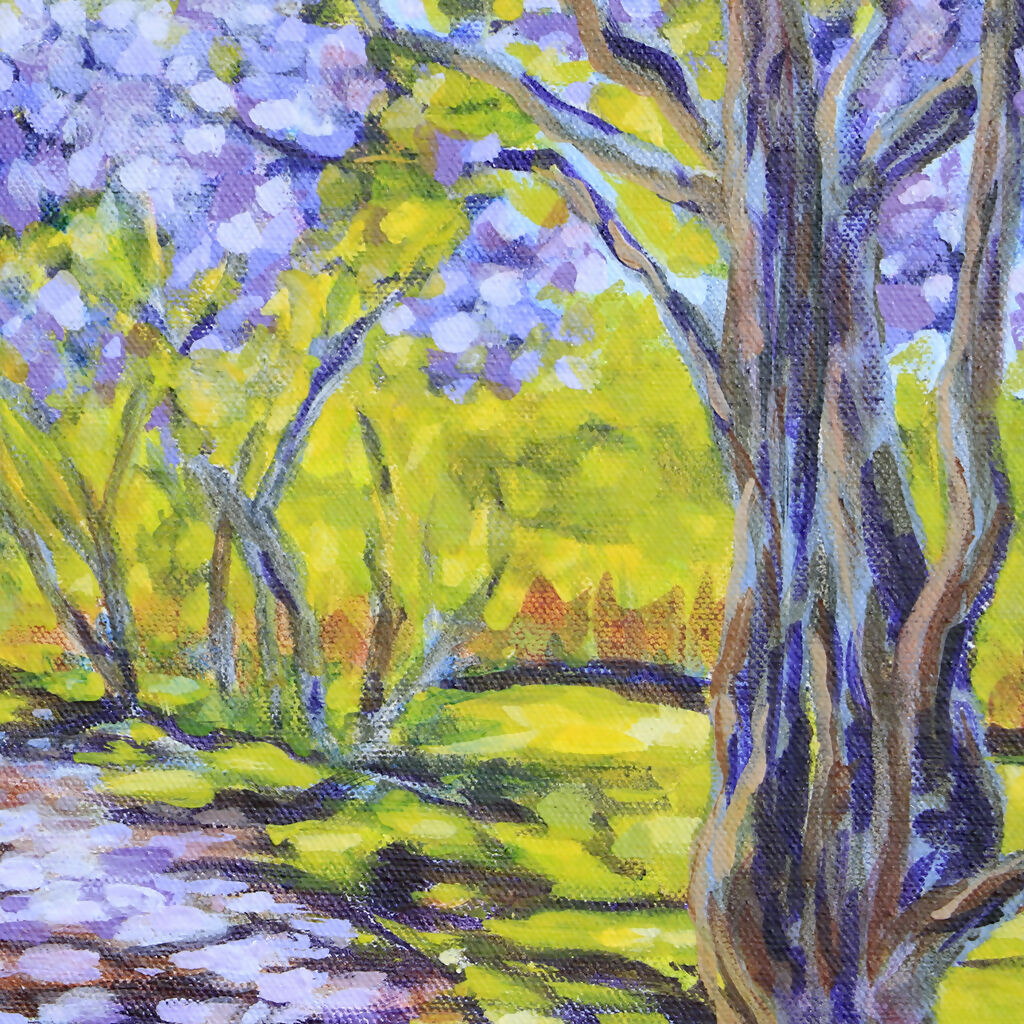 Jacarandas Heralding Summer