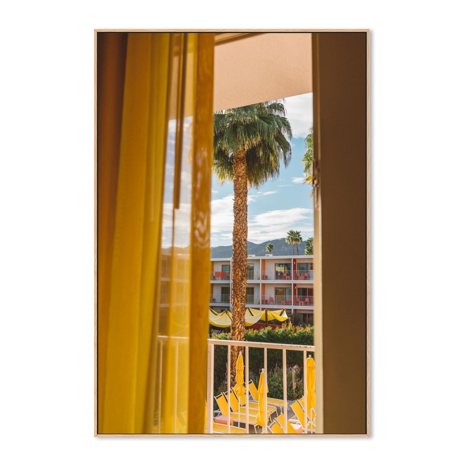 Palm Springs Dreams