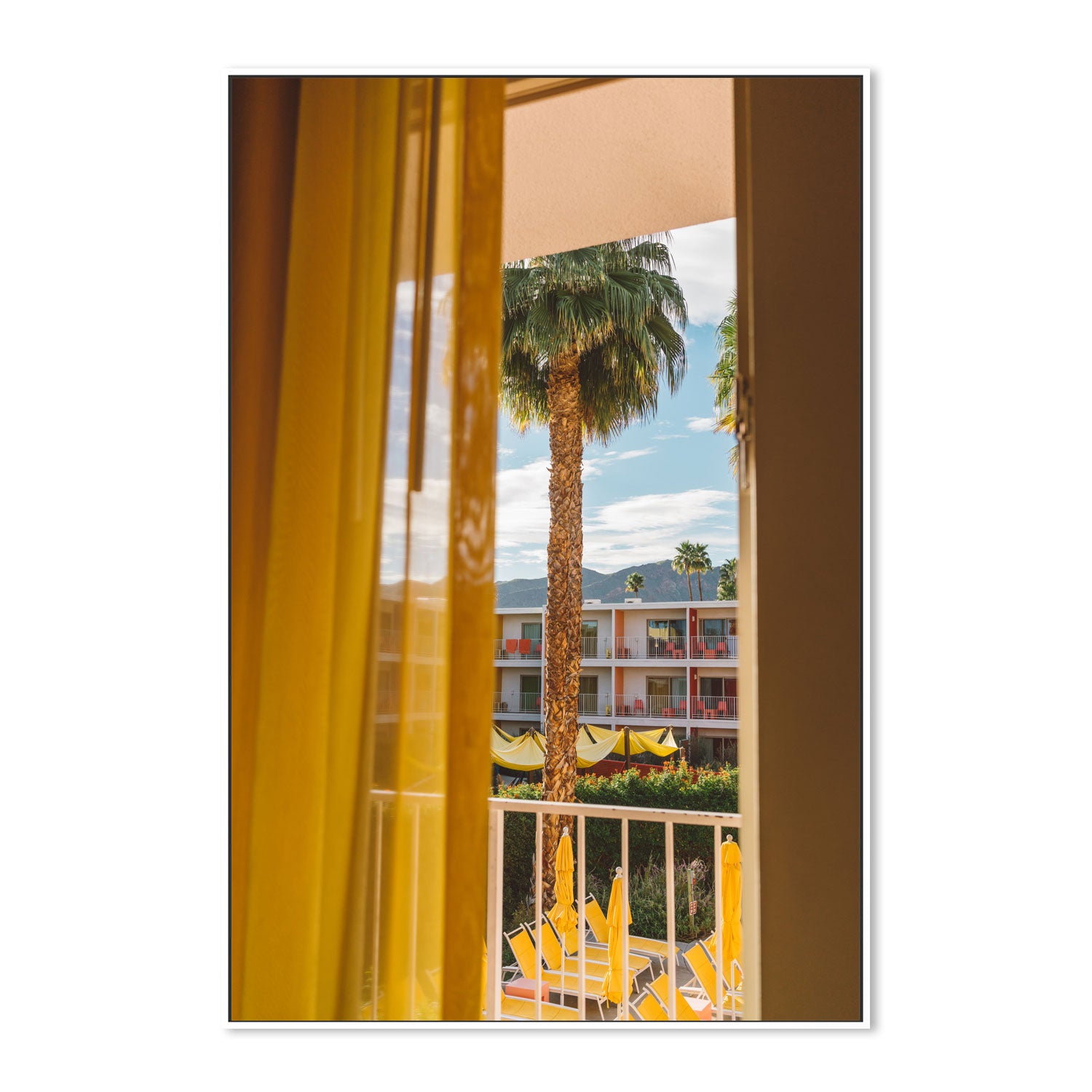 Palm Springs Dreams