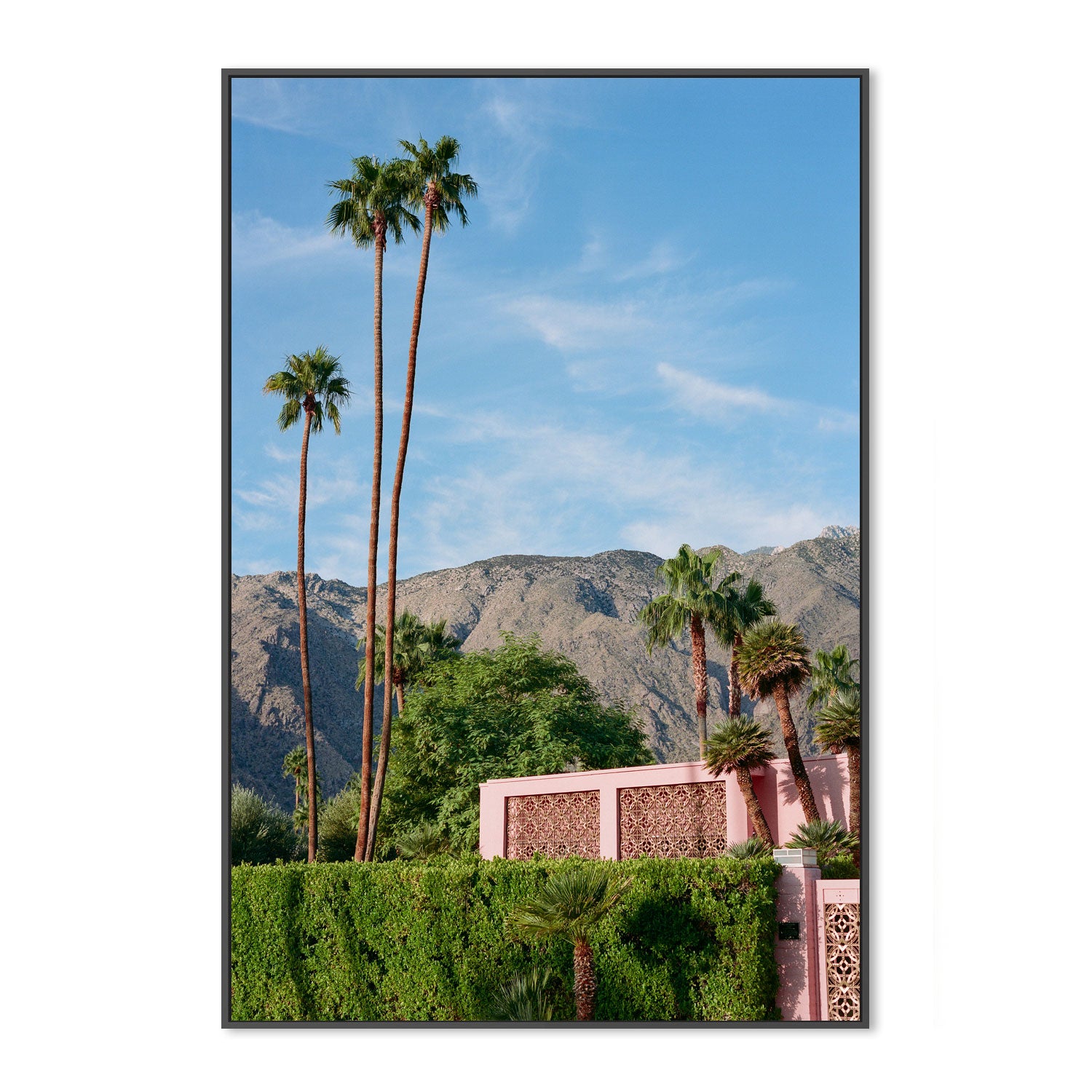 Palm Springs Pink House