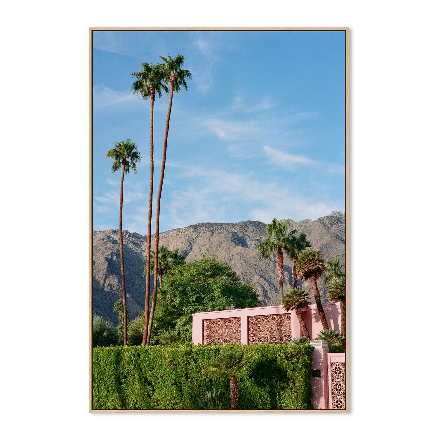 Palm Springs Pink House