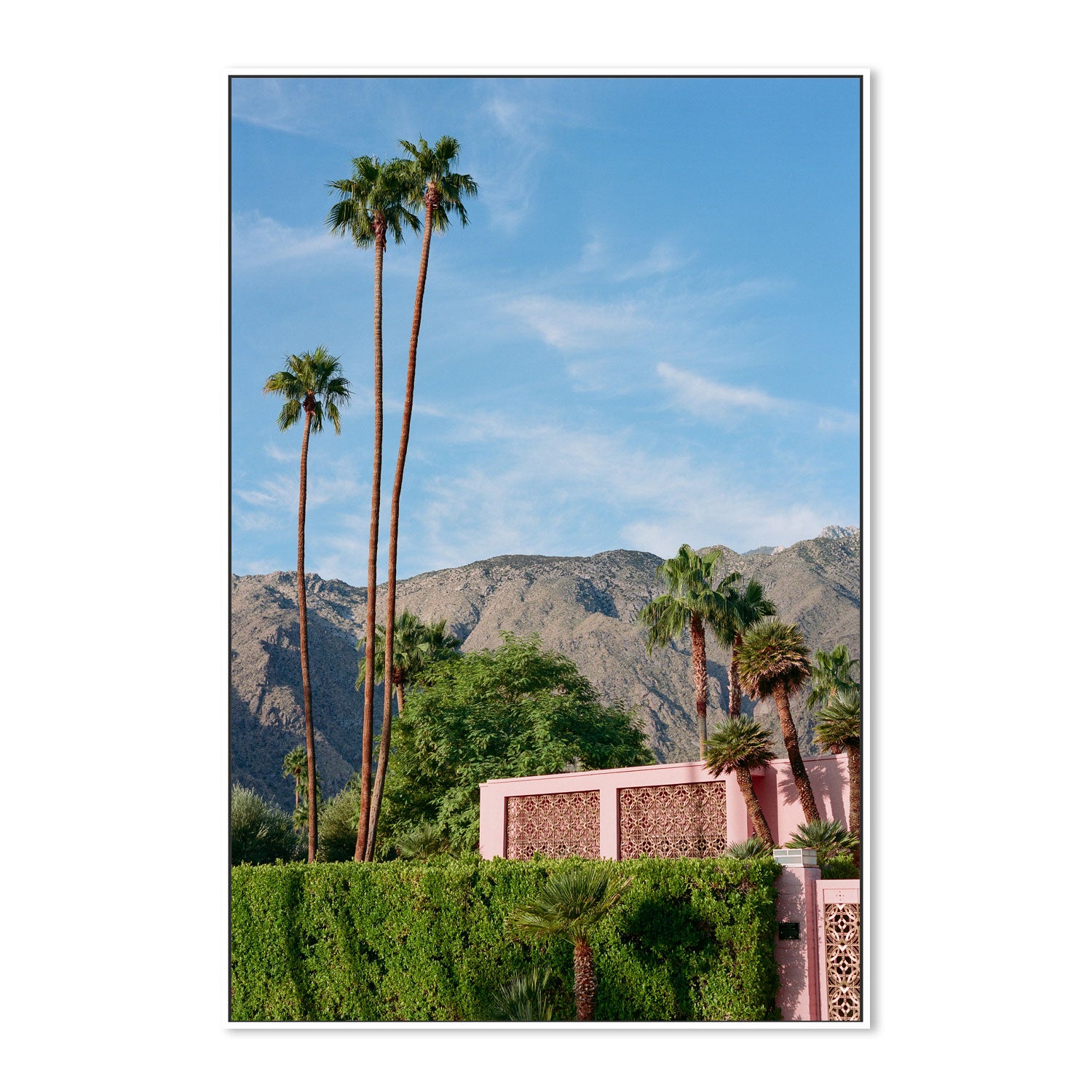 Palm Springs Pink House
