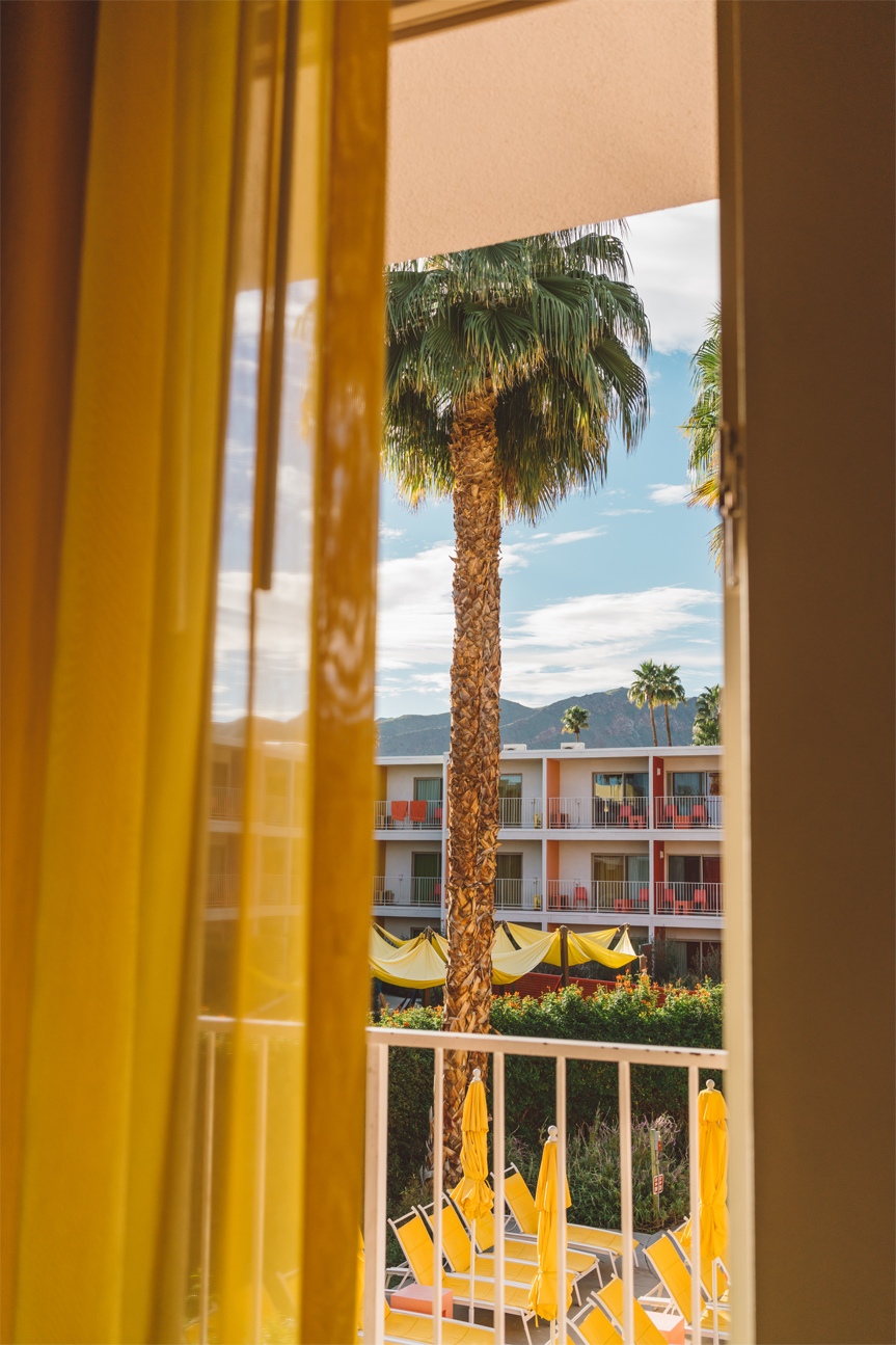 Palm Springs Dreams