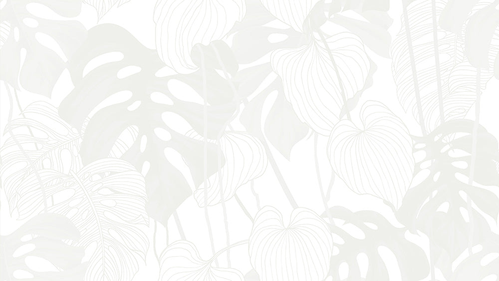 Philodendron Plant Green Wallpaper