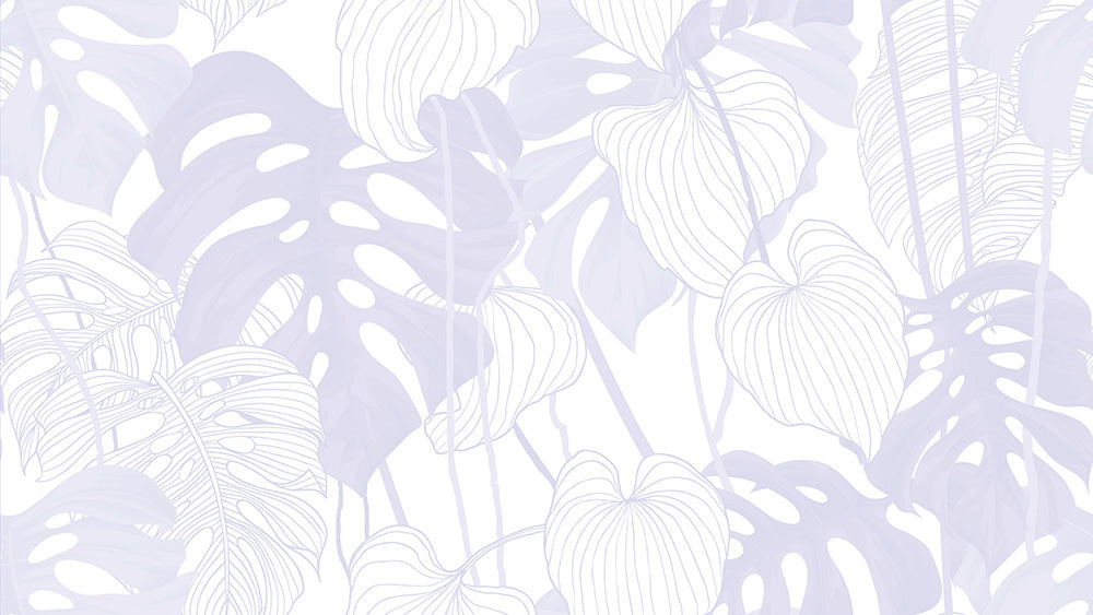 Philodendron Plant Wallpaper Eco-friendly Peel & Stick removable