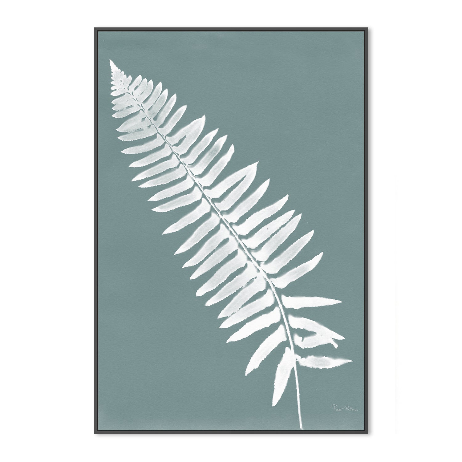 Nature By The Lake Ferns IV