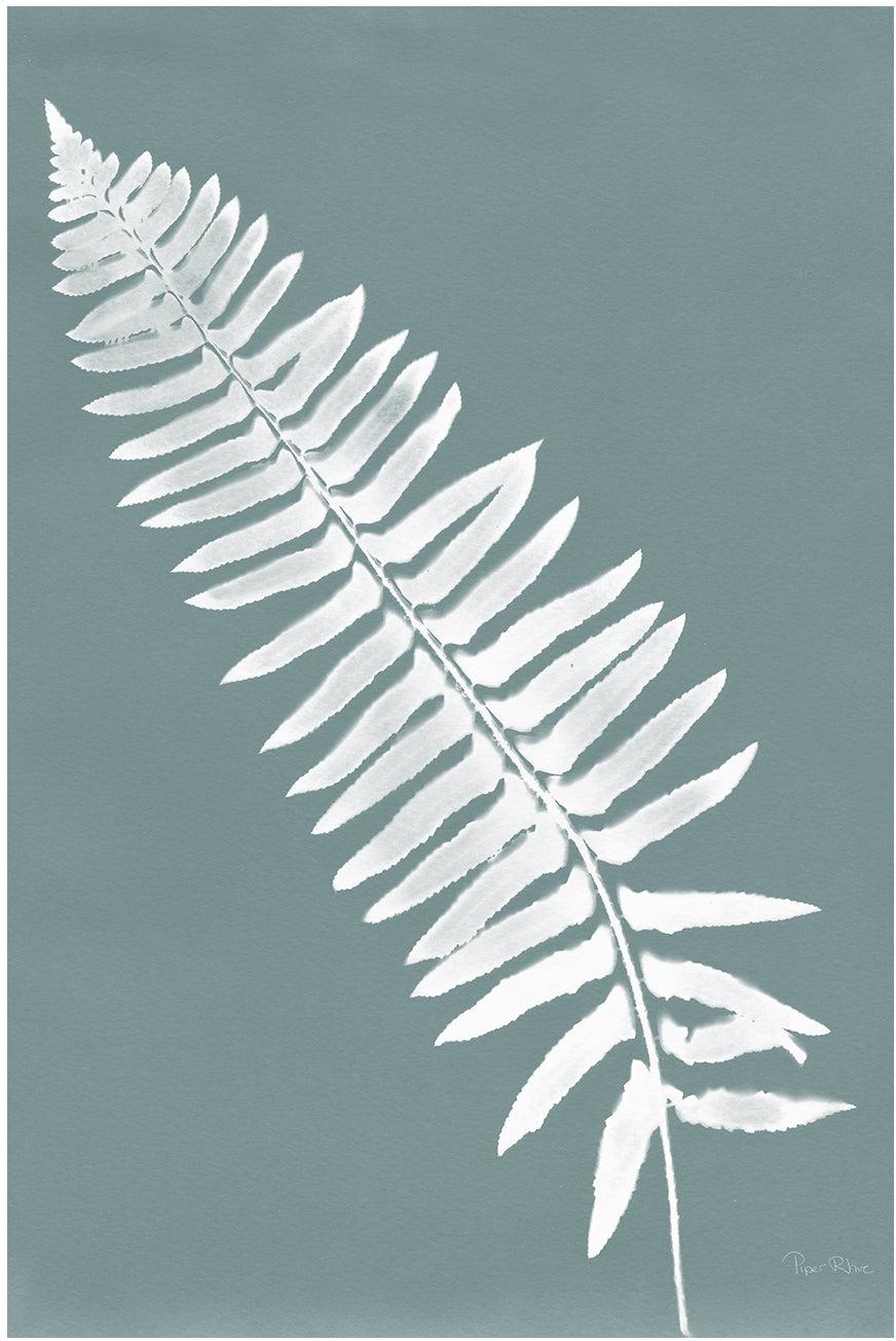 Nature By The Lake Ferns IV