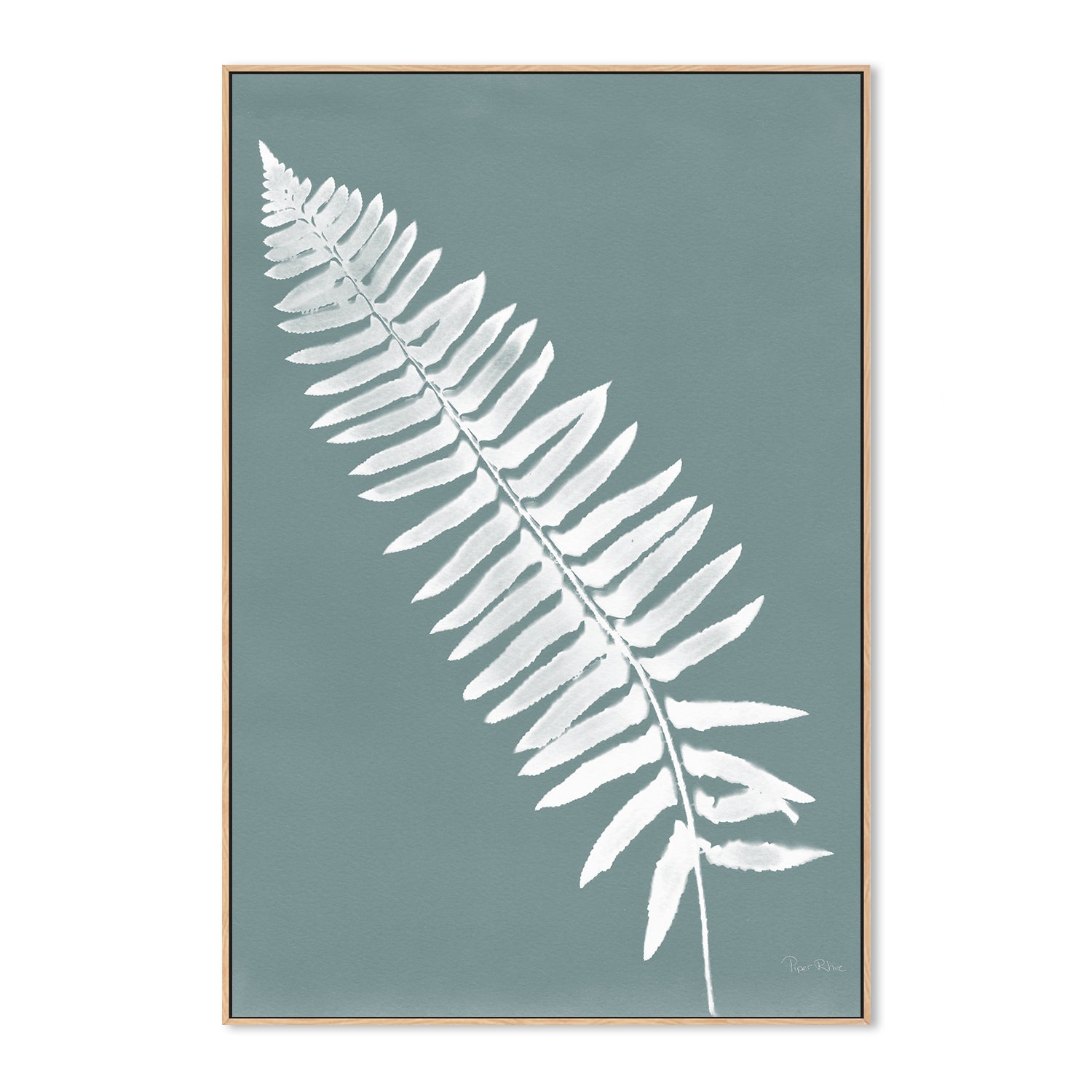Nature By The Lake Ferns IV