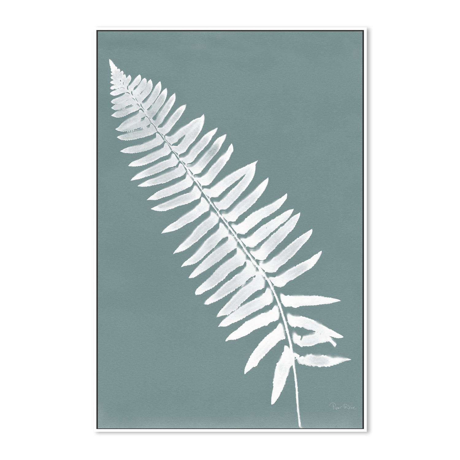 Nature By The Lake Ferns IV