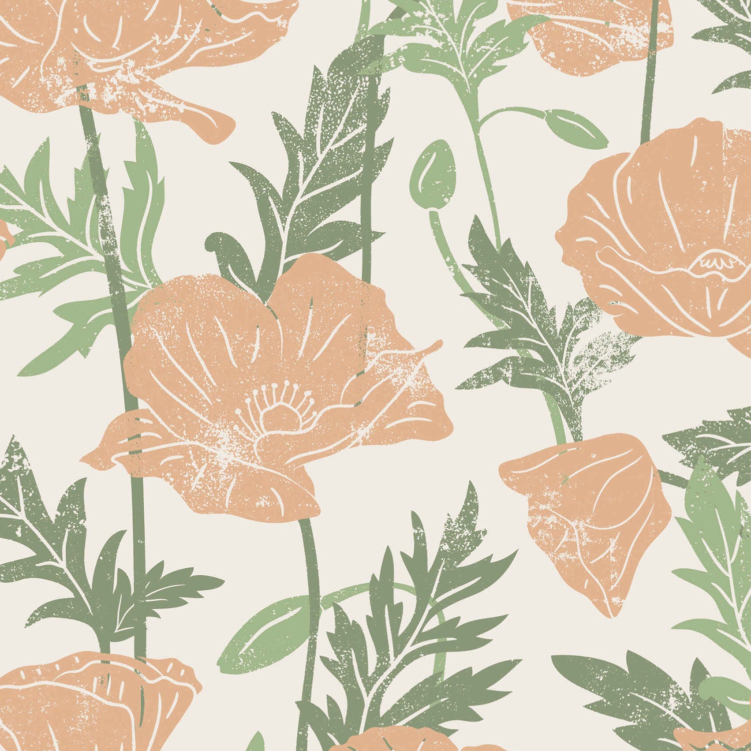 Poppies Peach