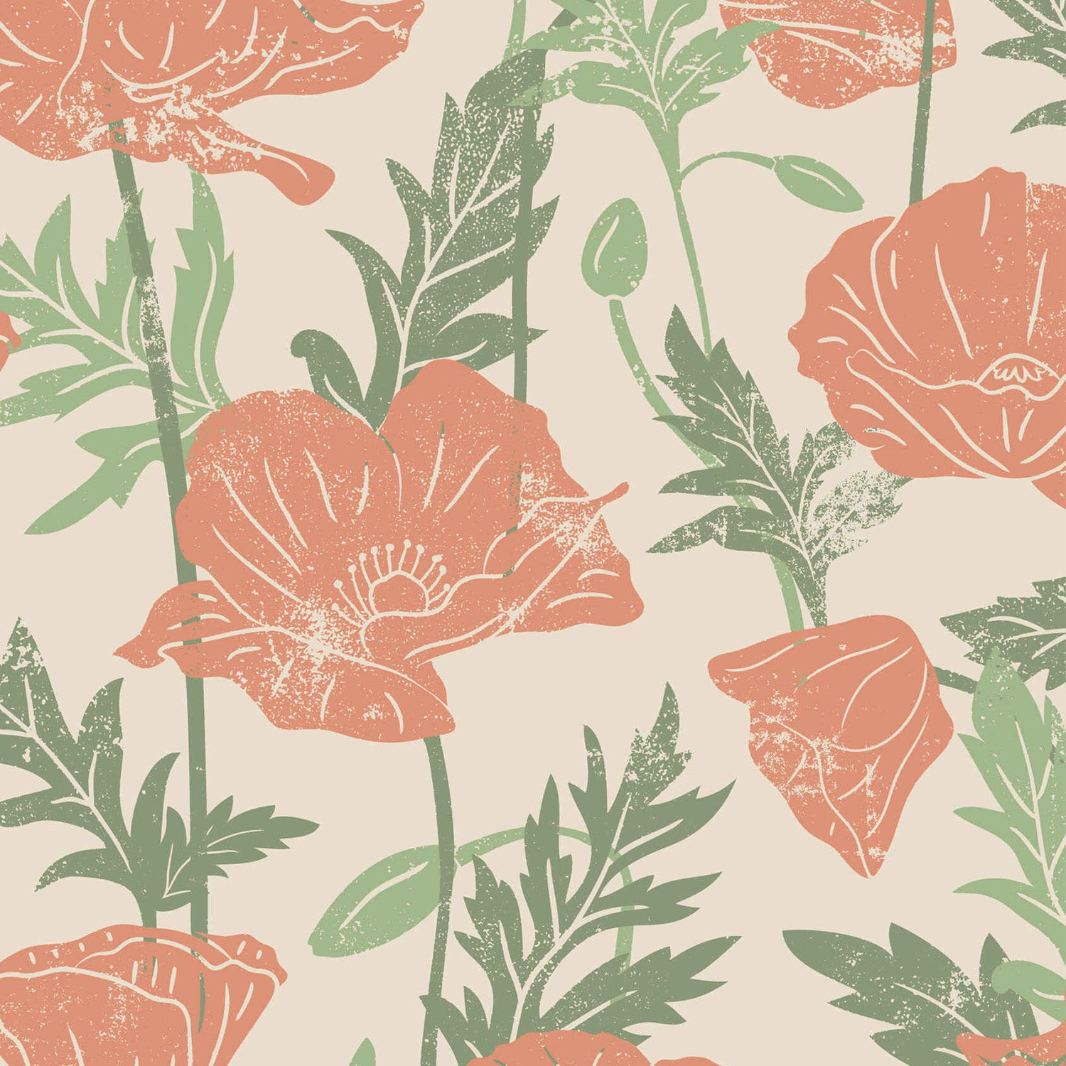 Poppies Rose
