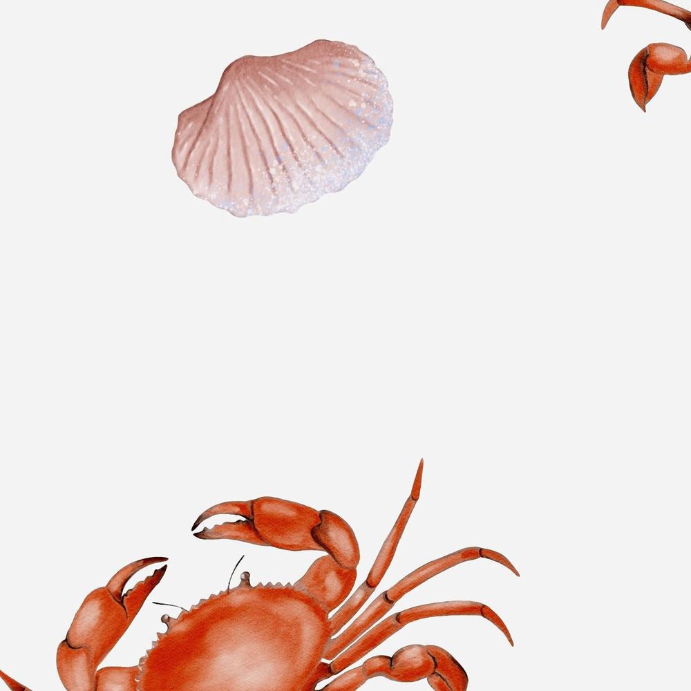 Red Crabs And Scallops-wallpaper-eco-friendly-easy-removal-Gioia Wall Art-4