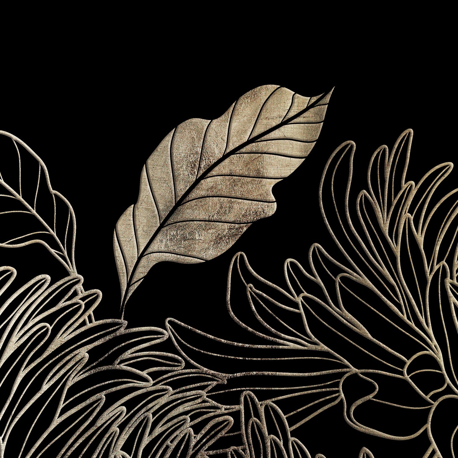 Black and Gold Beauty