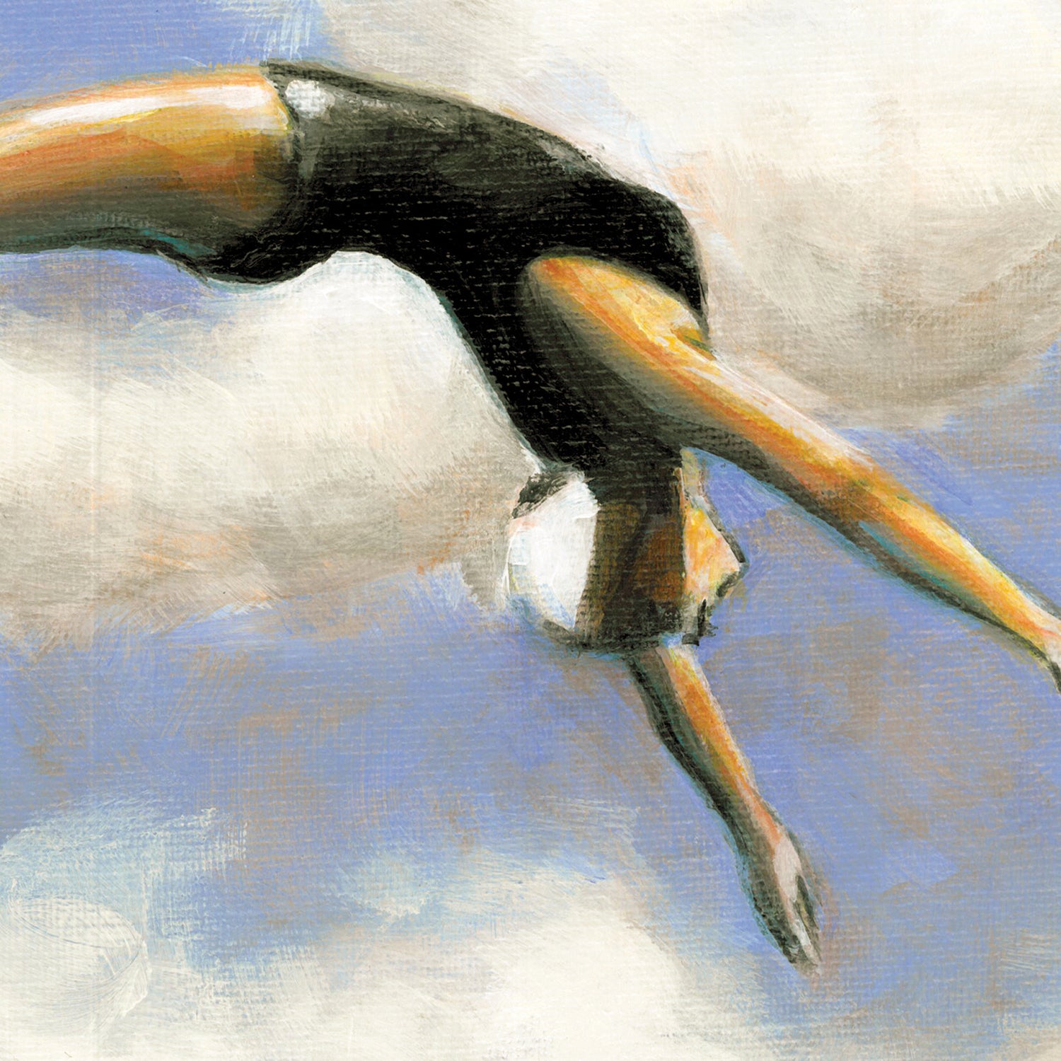 Cliff Diving