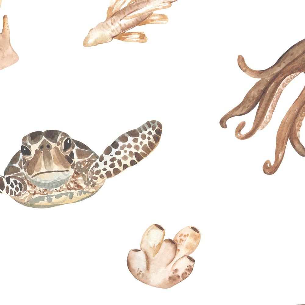 Sea Life On Sandy Beige-wallpaper-eco-friendly-easy-removal-Gioia Wall Art-4